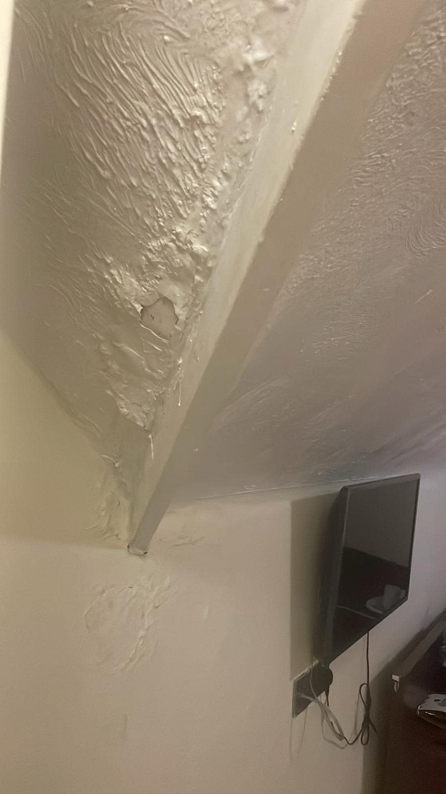 Ceiling Damp