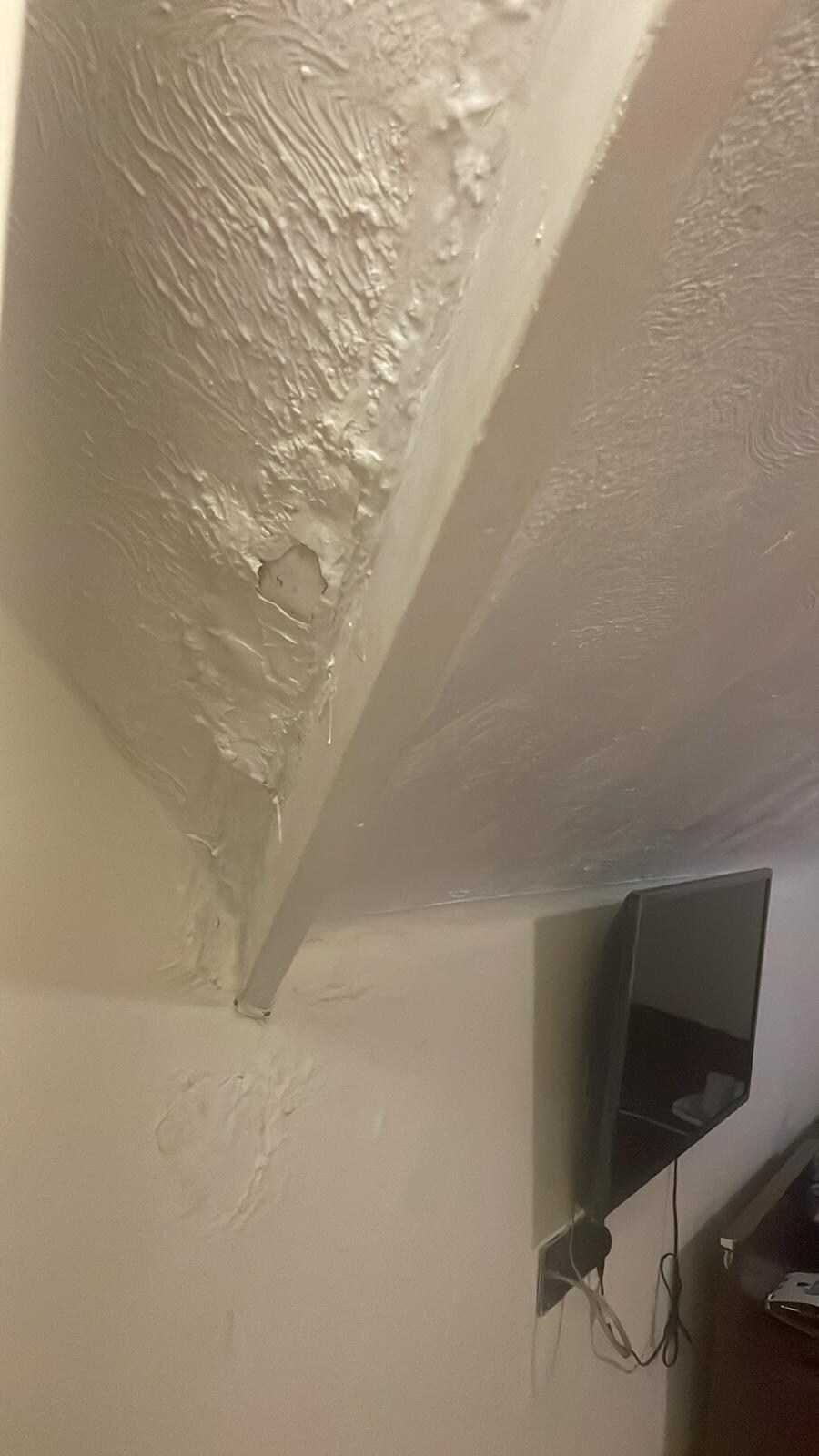 Ceiling Damp