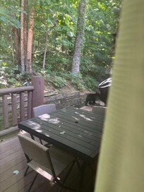 Two bear cubs paid us a visit.