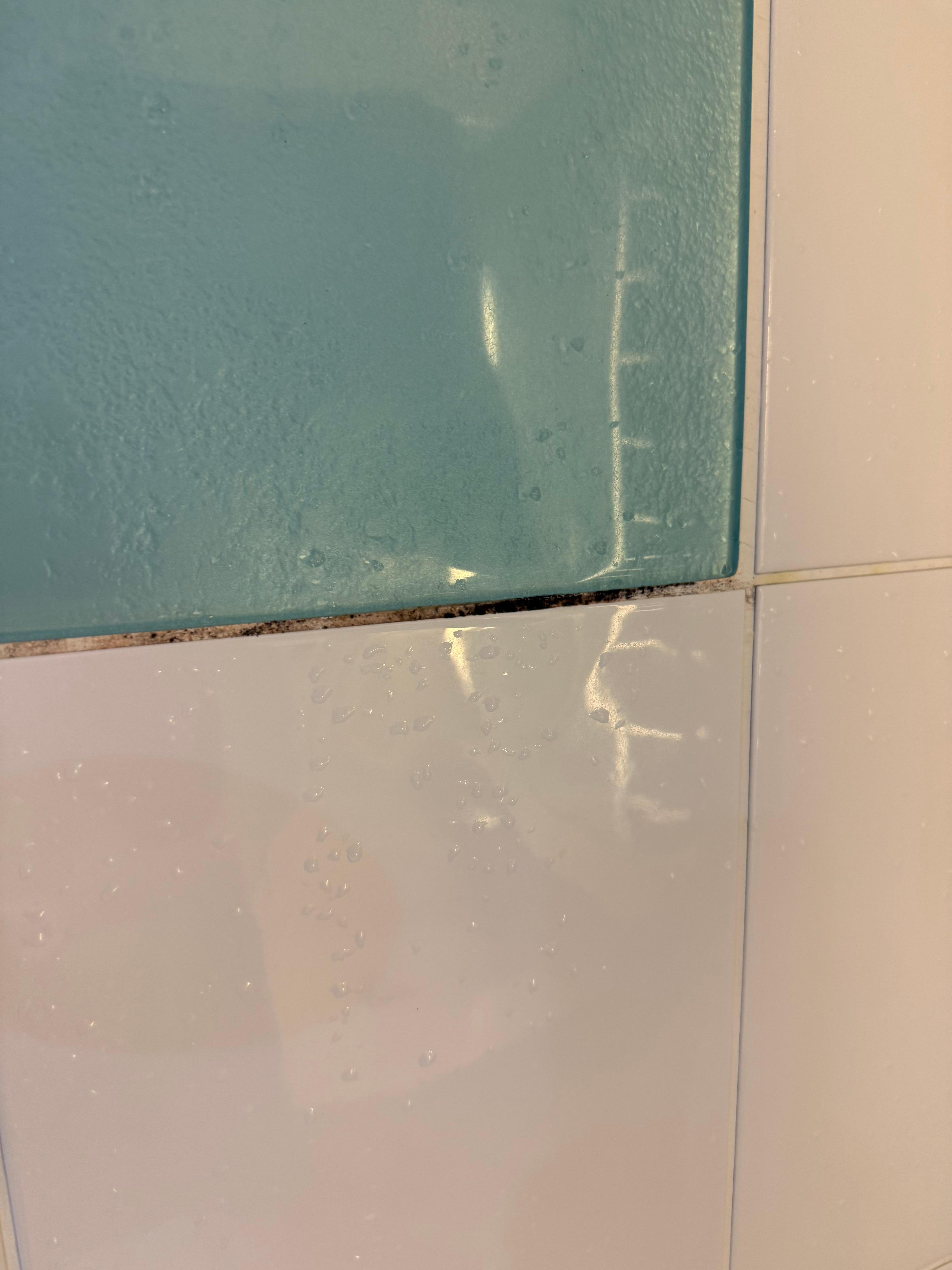 Schwarzschimmel im Bad 