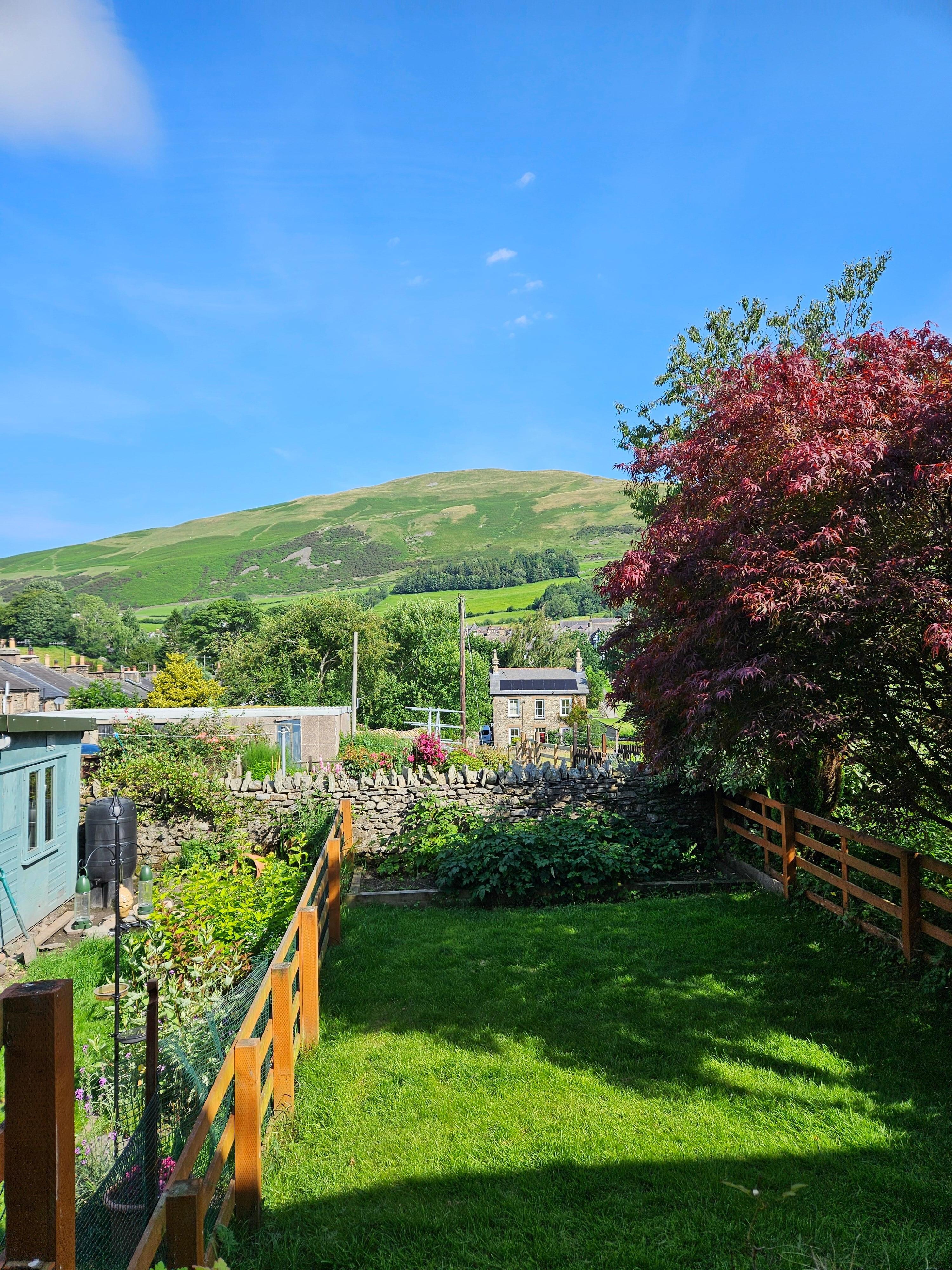 View from the garden 