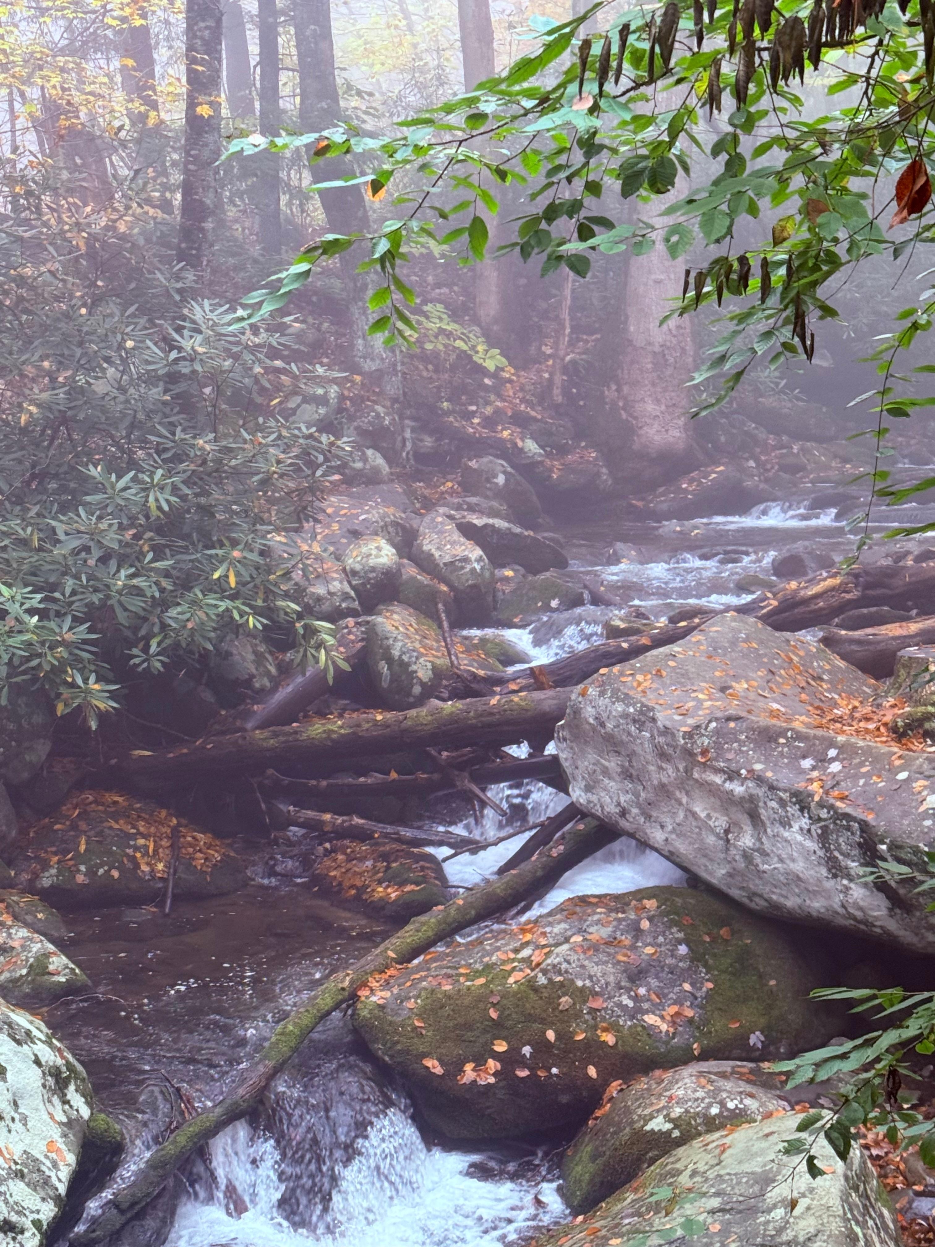 Gatlinburg treasures.