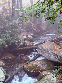 Gatlinburg treasures.