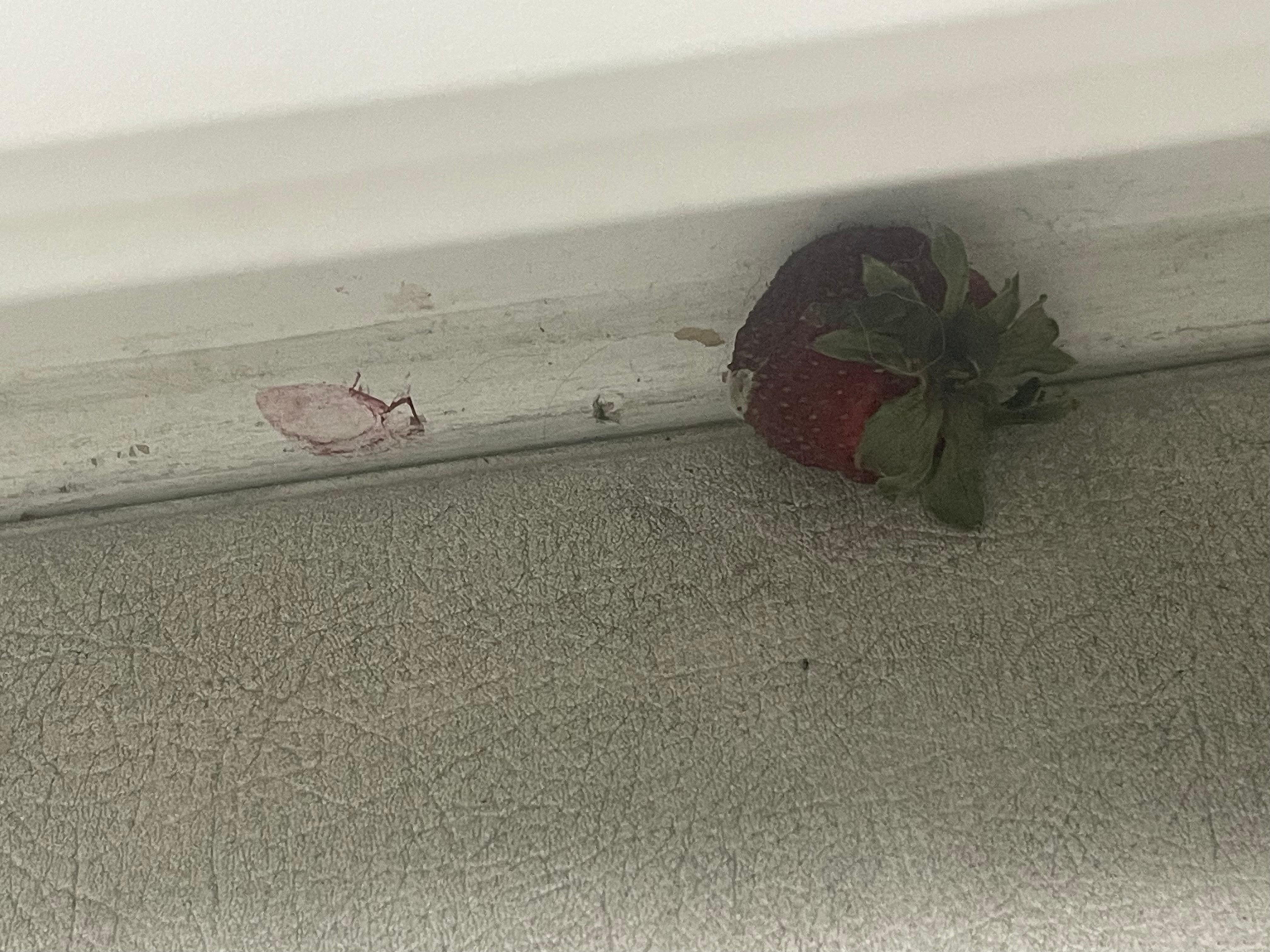 Under kitchen cabinets 