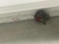 Under kitchen cabinets