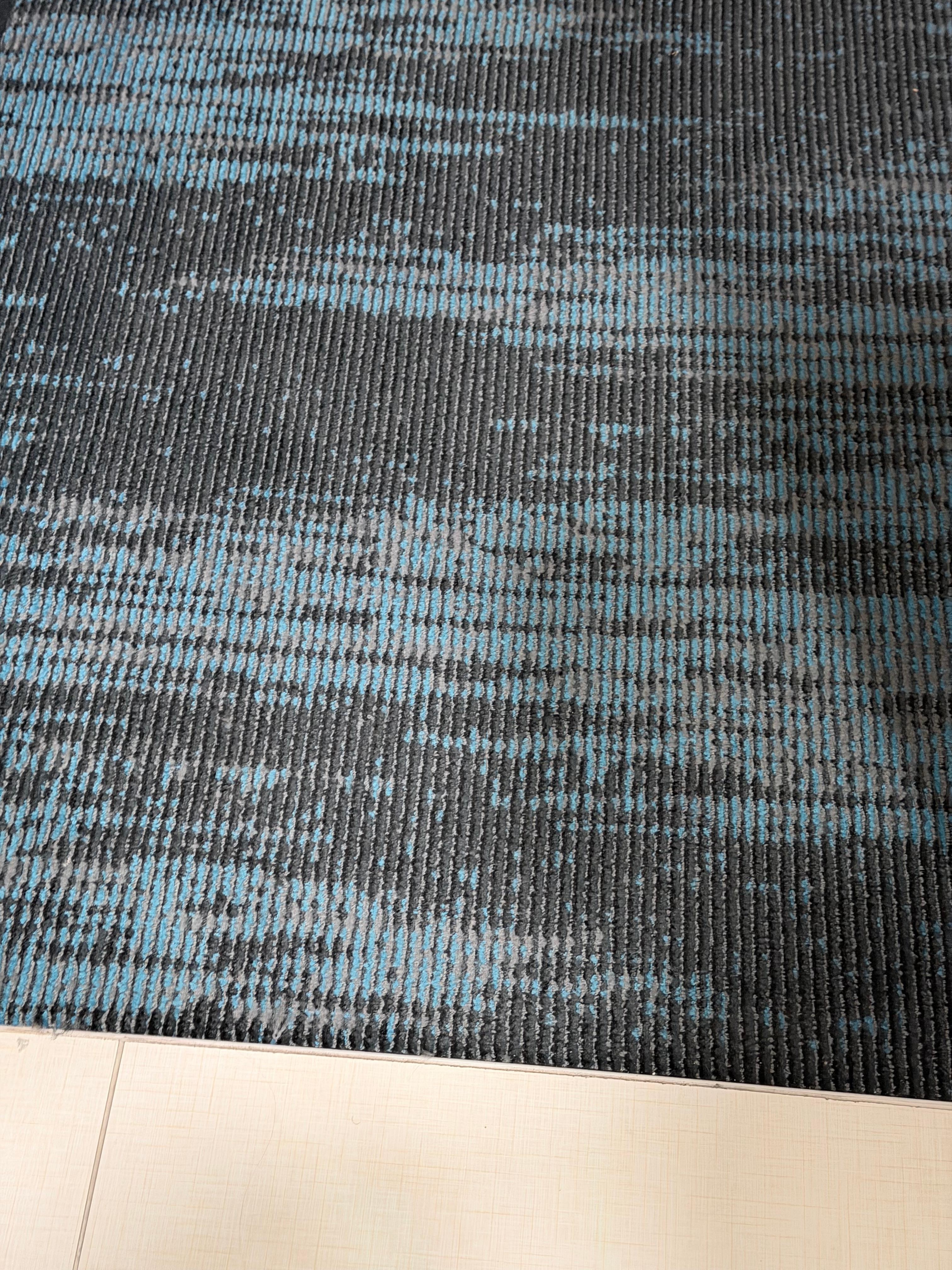 Carpet needs to be steam cleaned. 