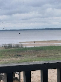 Nearly every morning there was some kind of bird slightly on unclear in the photo just because of the screened in porch portion