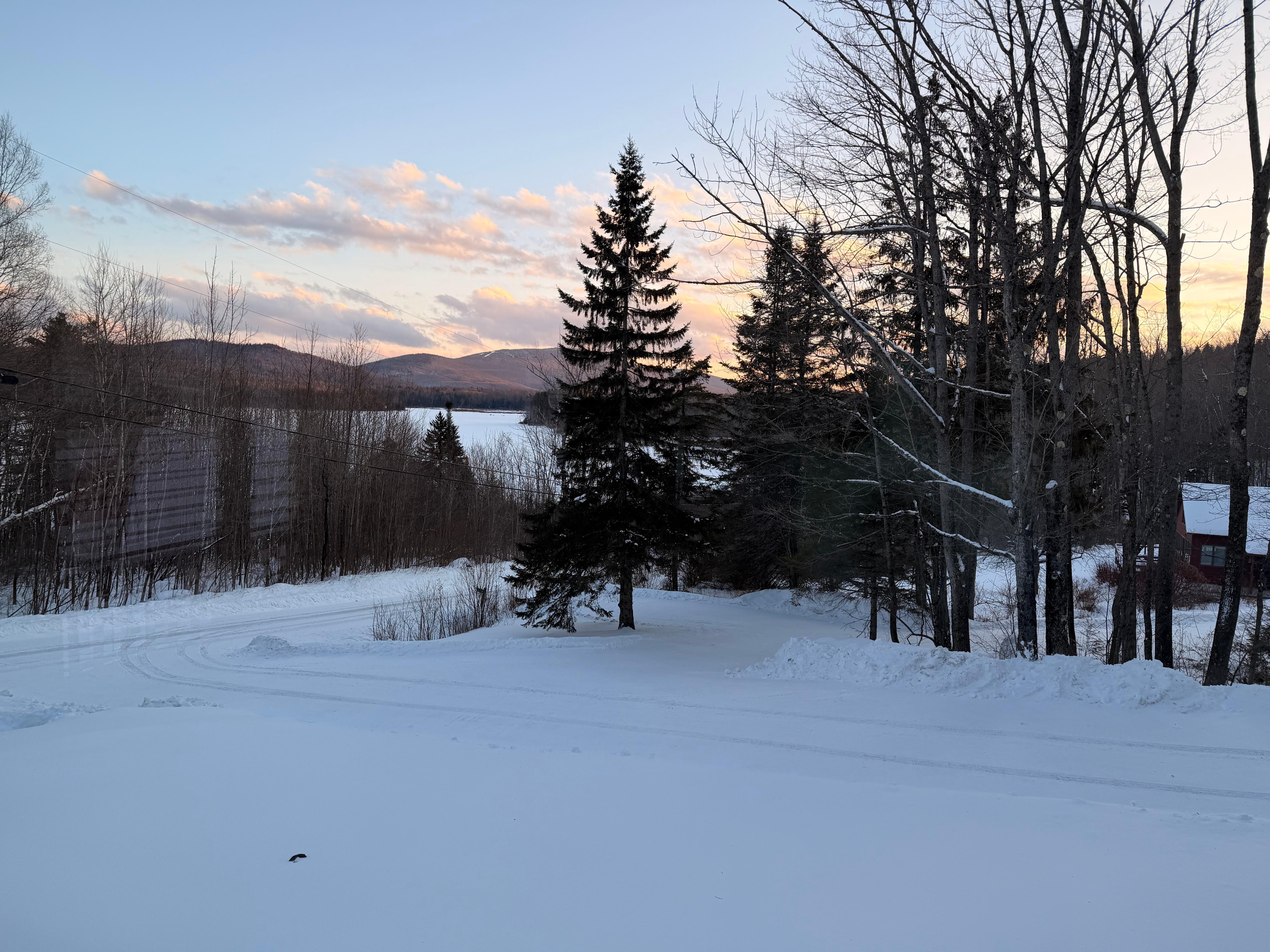 View from the dining table.  