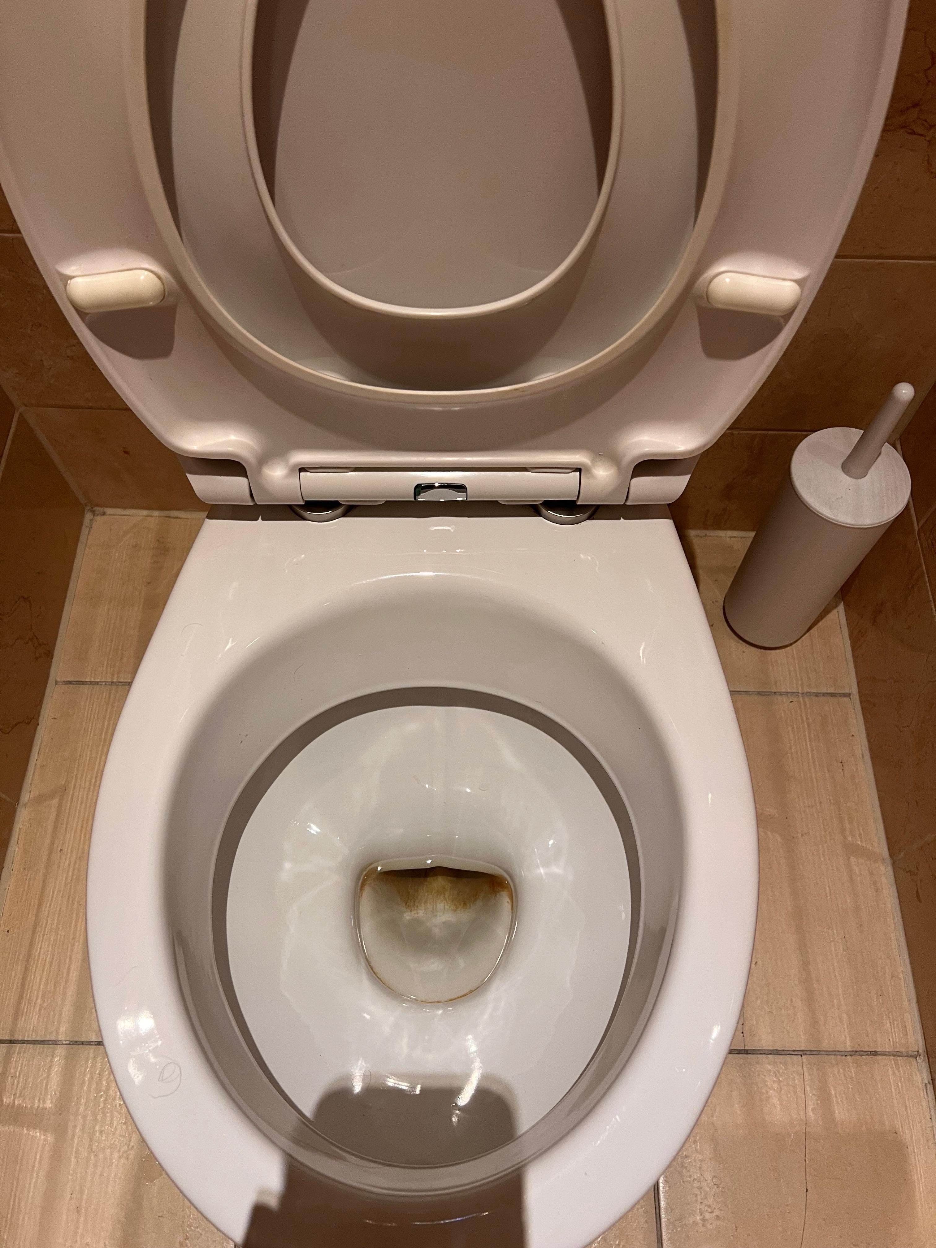 filthy toilet