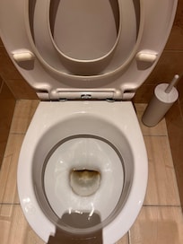 filthy toilet