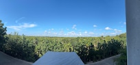 View from Casa 5
