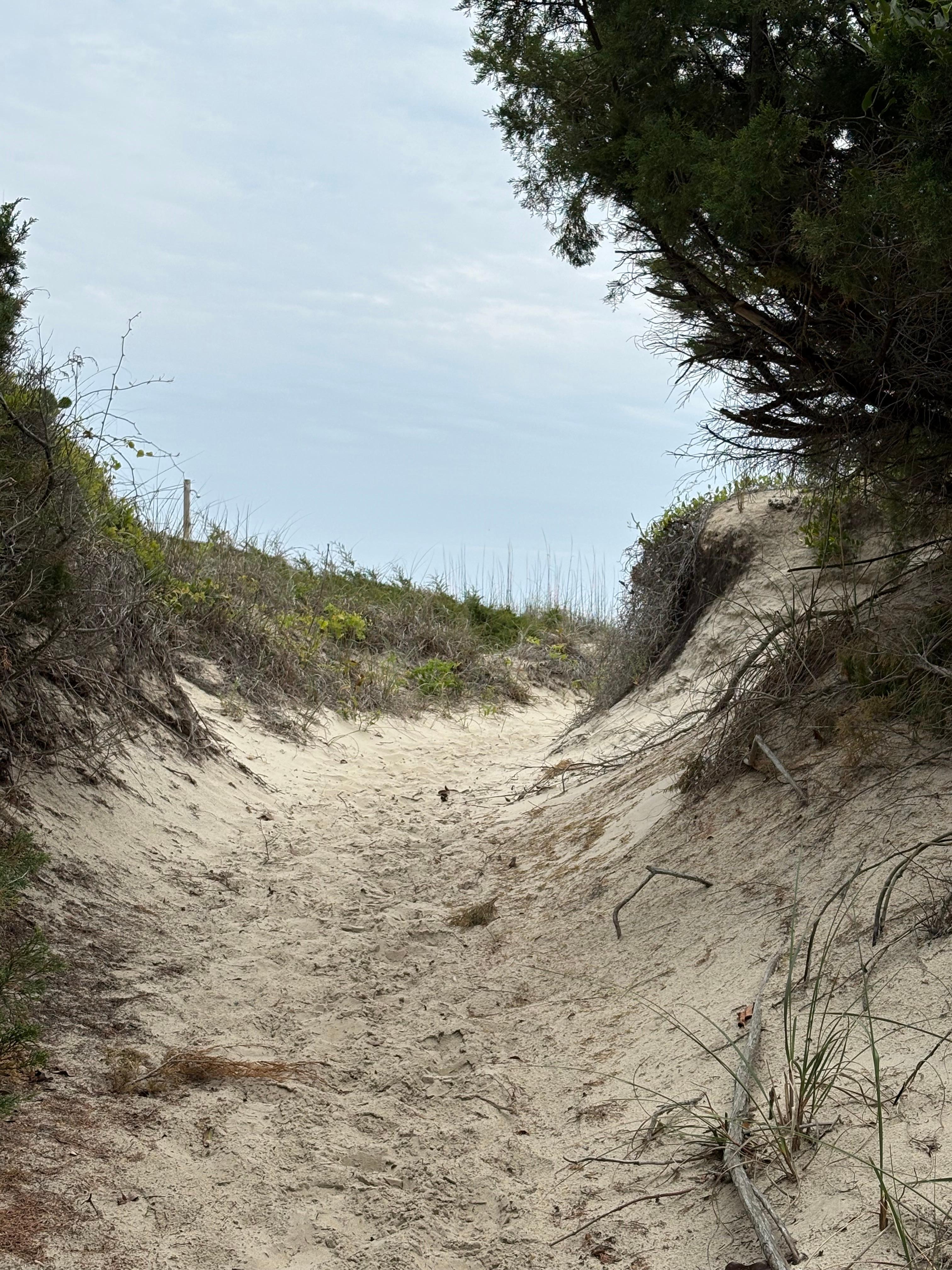 Beach path
