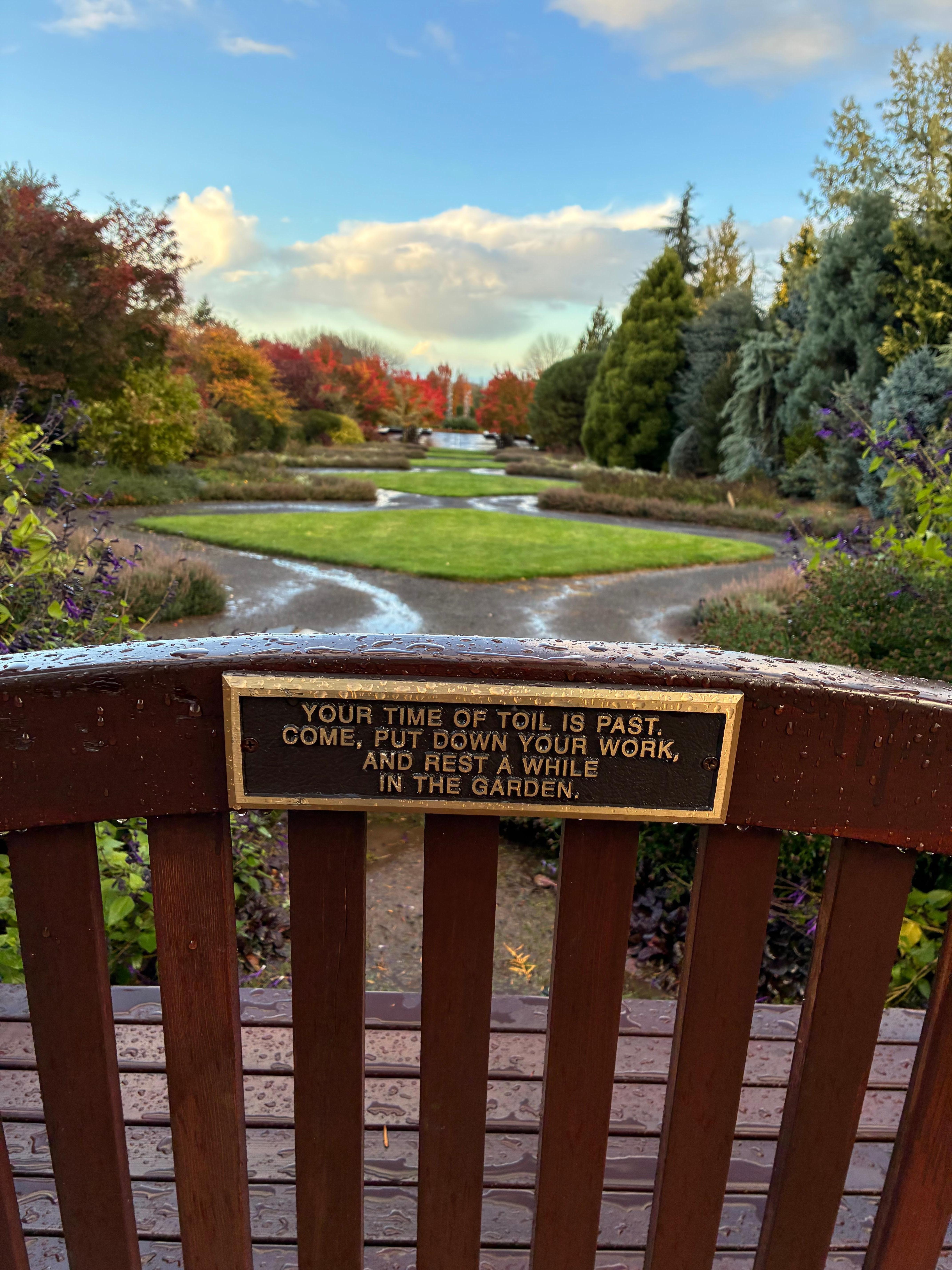 Looking out the resort restaurant window