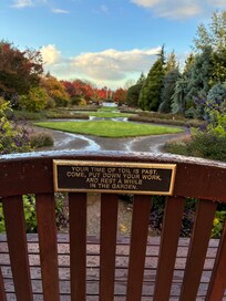 Looking out the resort restaurant window