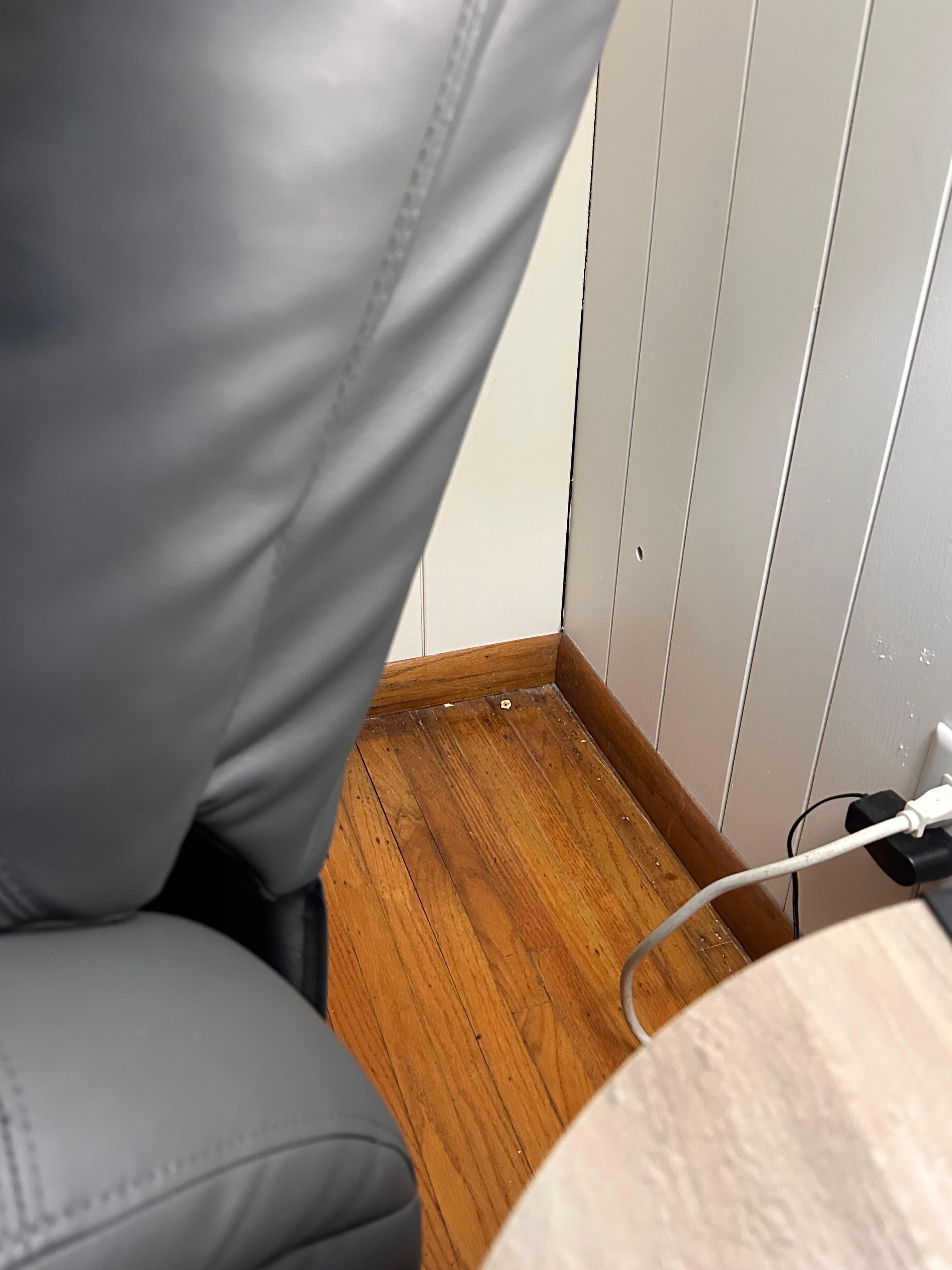 Popcorn and cobweb on living room floor