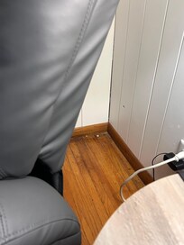 Popcorn and cobweb on living room floor