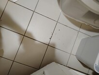 Bathroom floor