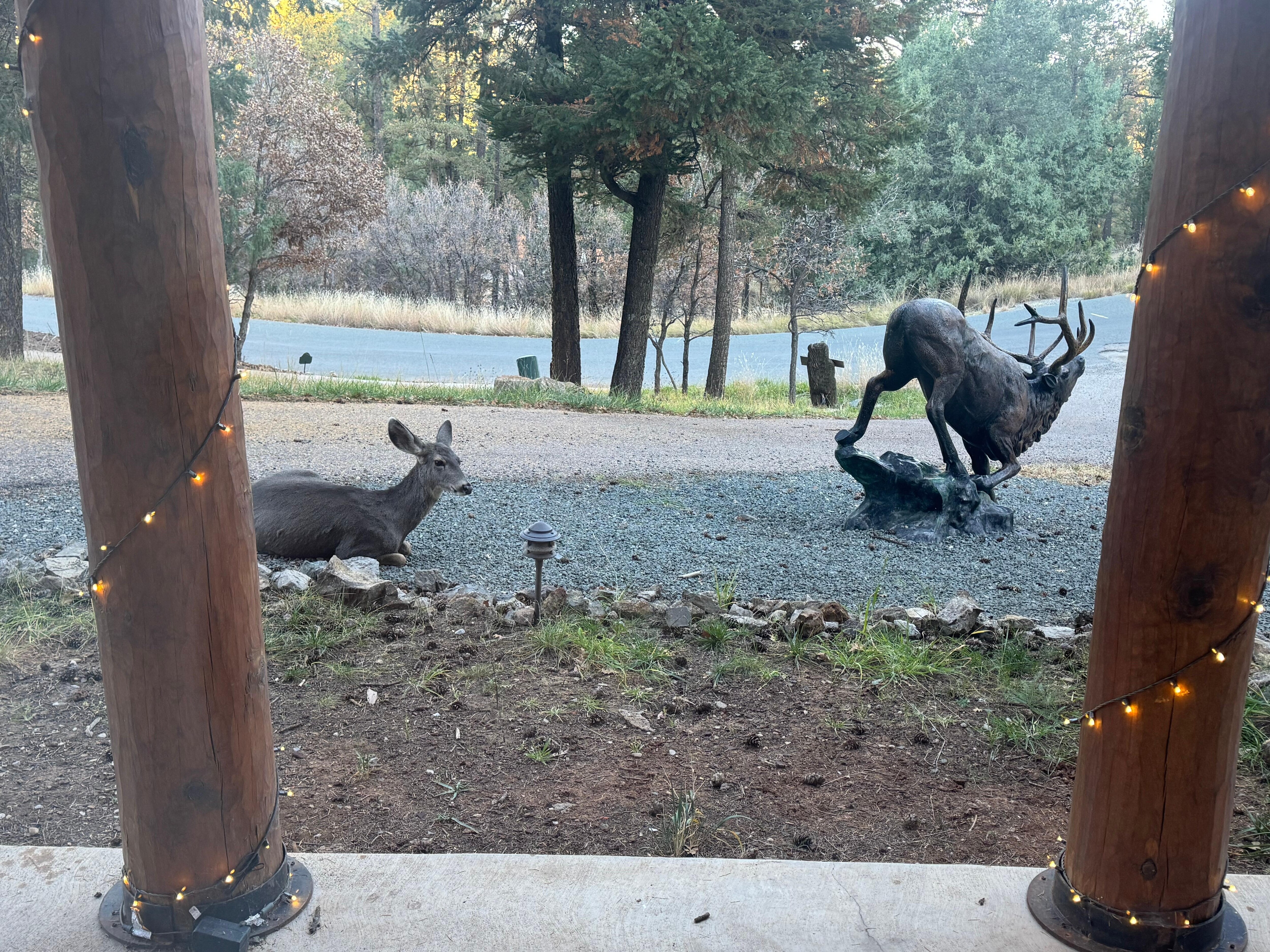 Had visitors both mornings of our stay!