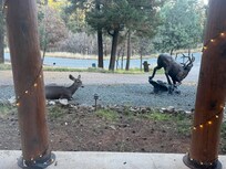 Had visitors both mornings of our stay!