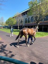 Keeneland
