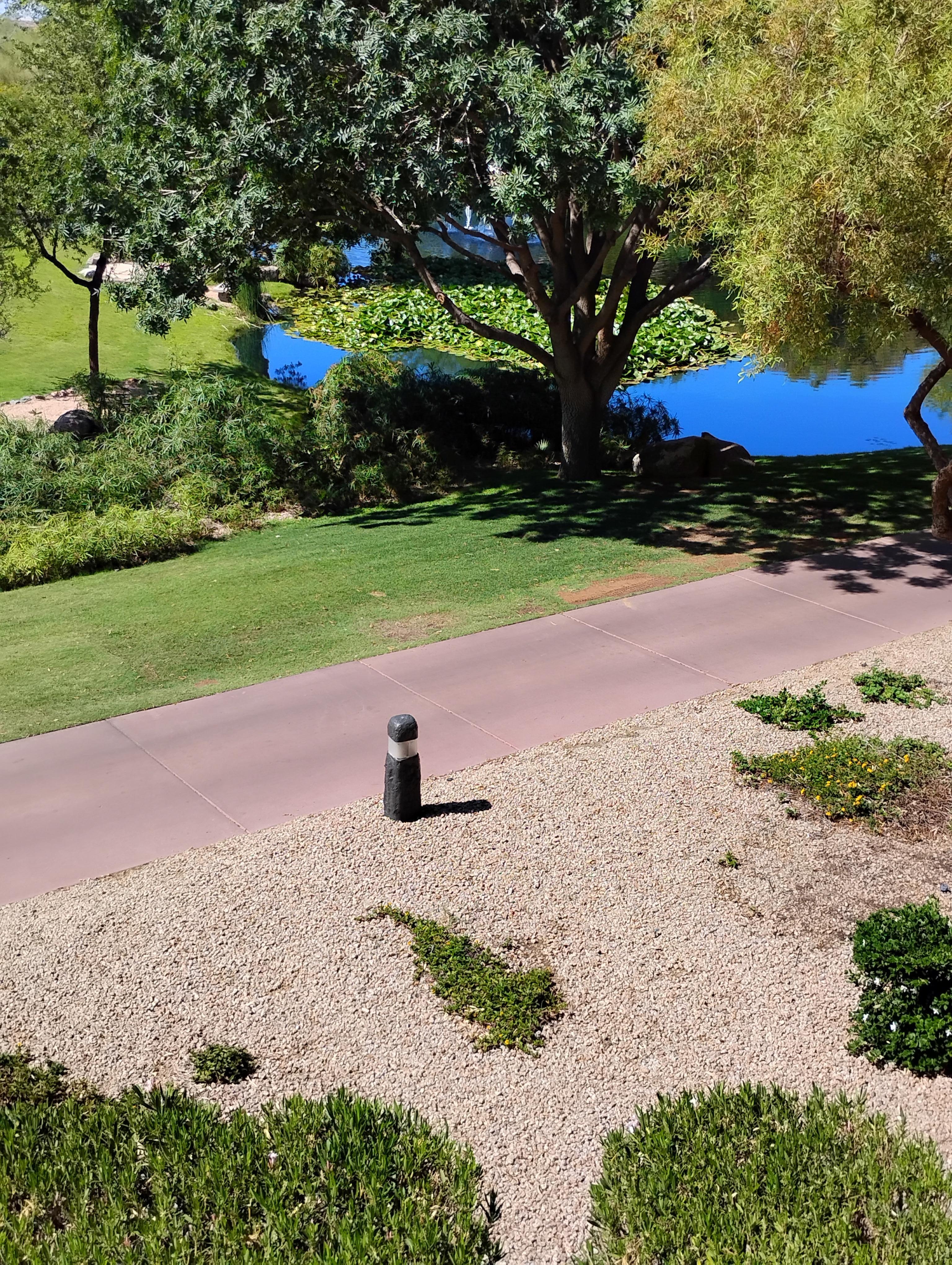 This is what I saw from my balcony.
