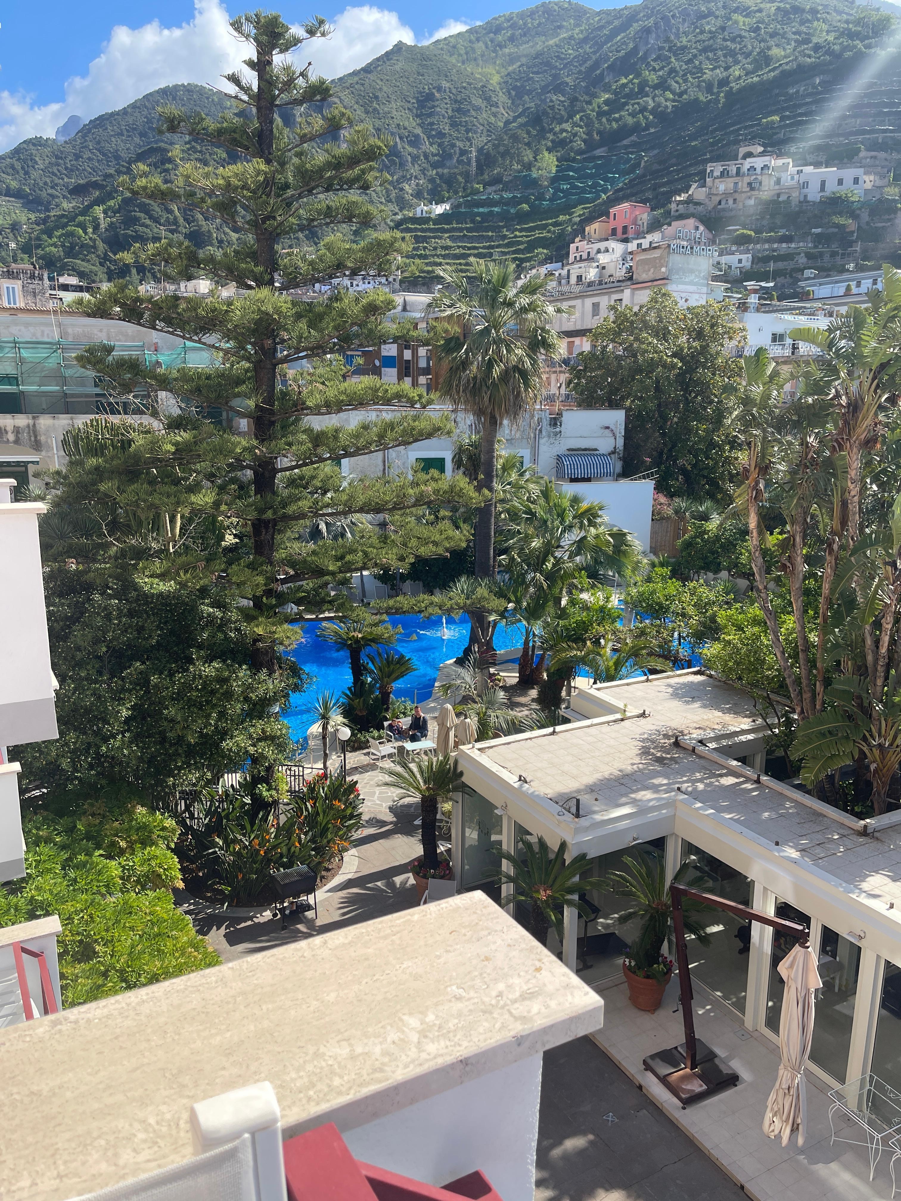 Pool and gardens