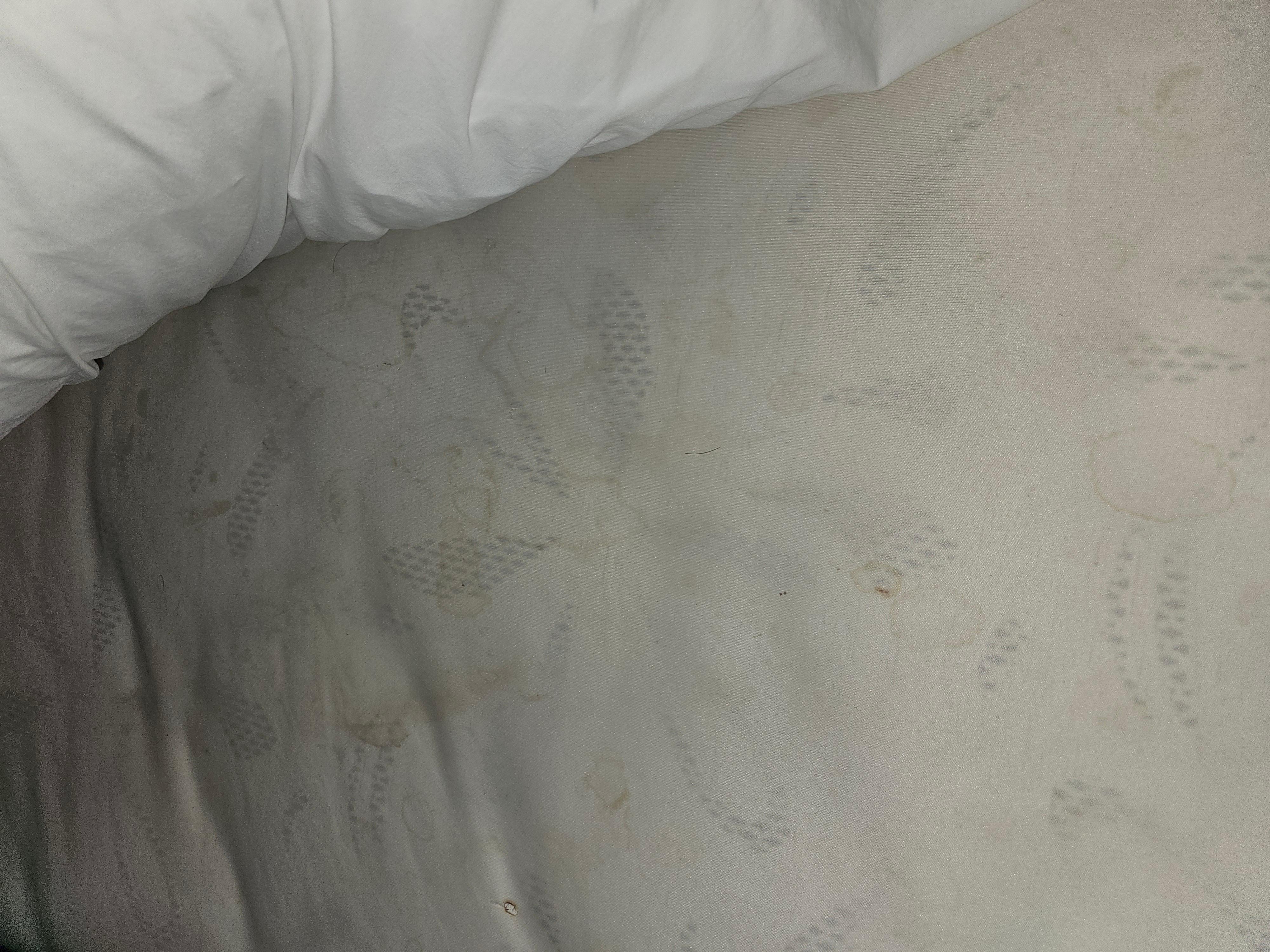 This is what we had to sleep on. 