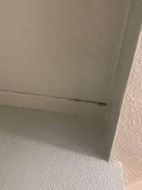 Mold in the cracks in the corner.