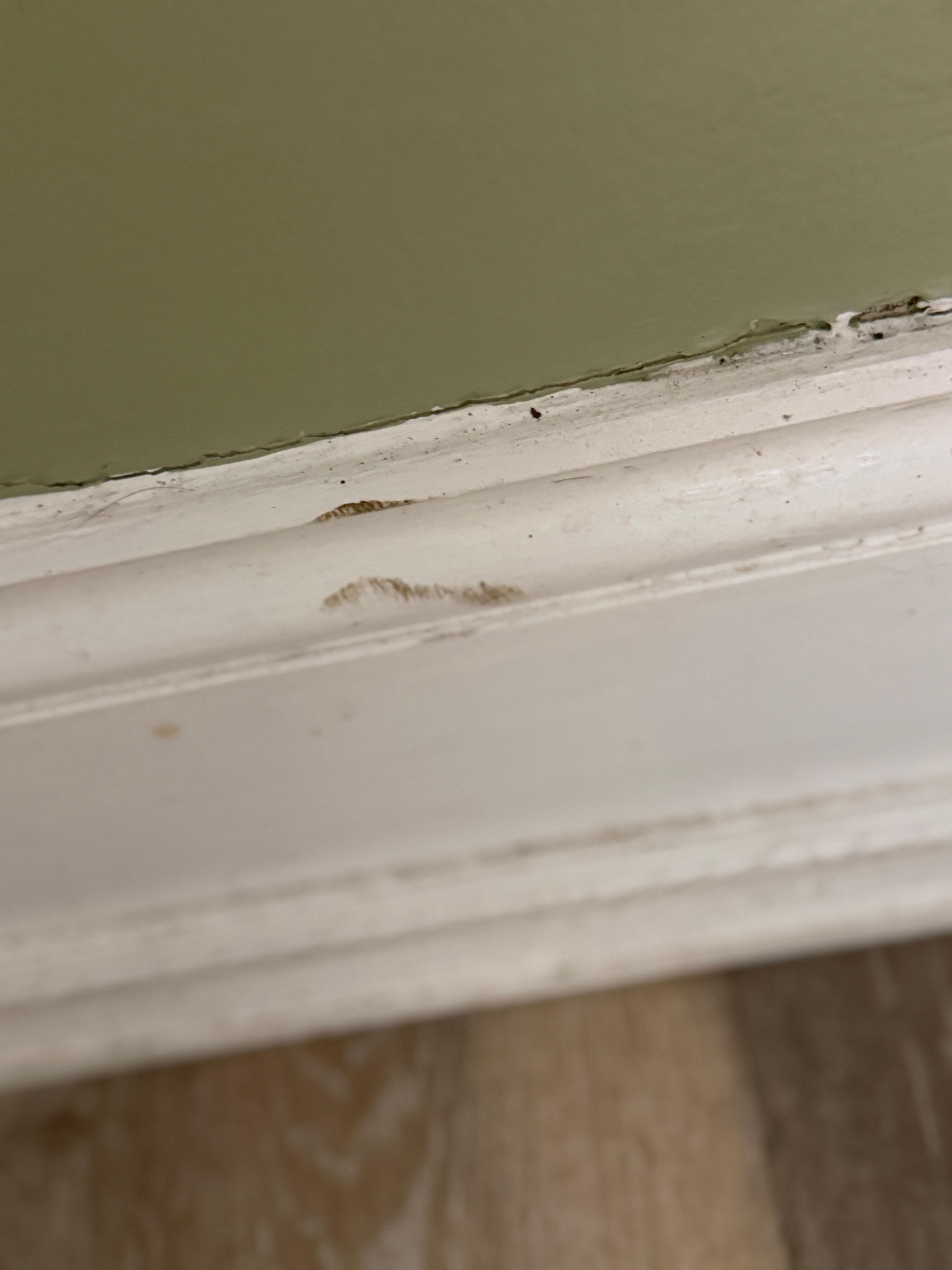 Baseboard in bedroom.