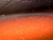 Polvere e altro sotto il letto... indecente!