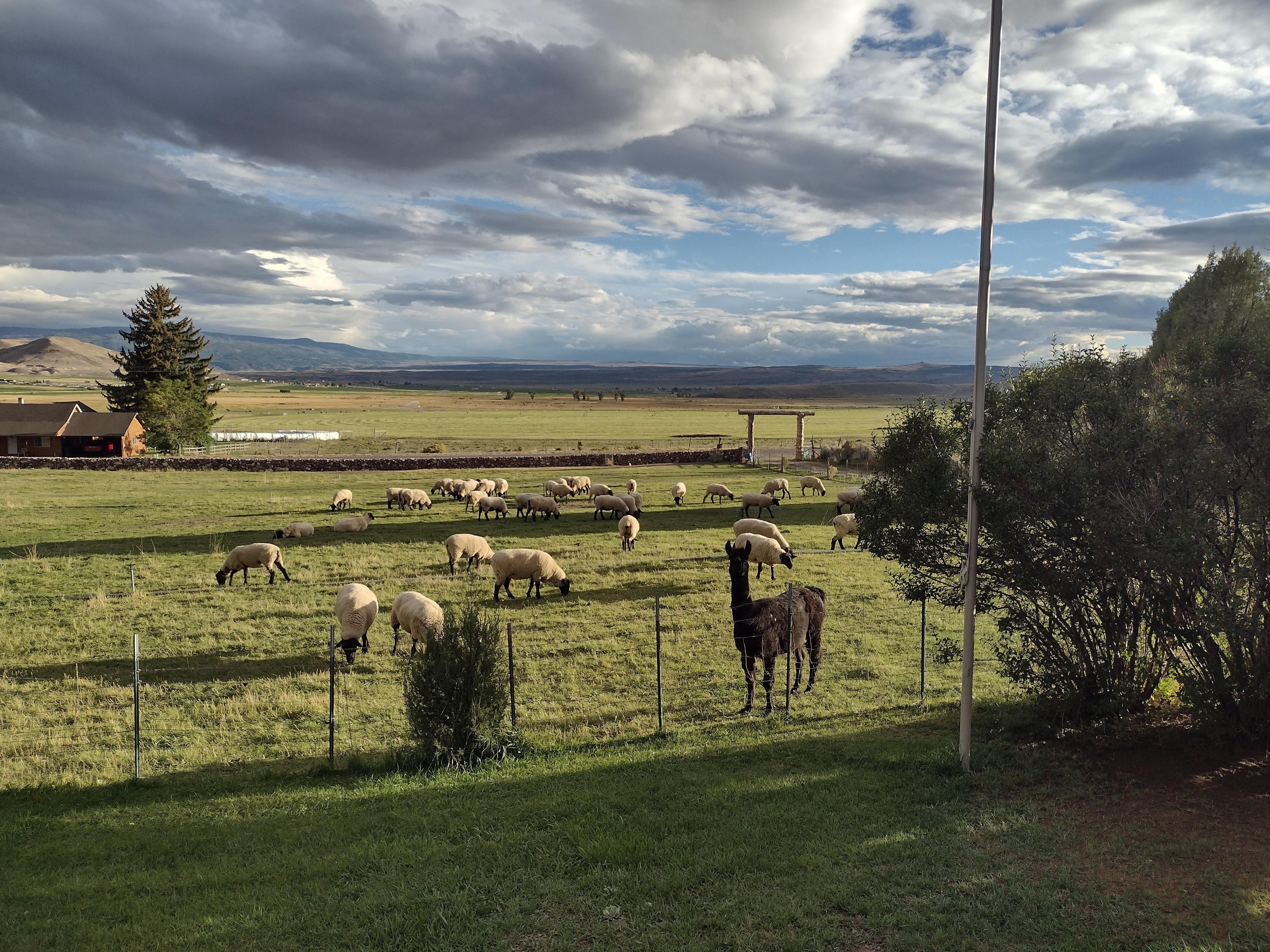 View from the front porch