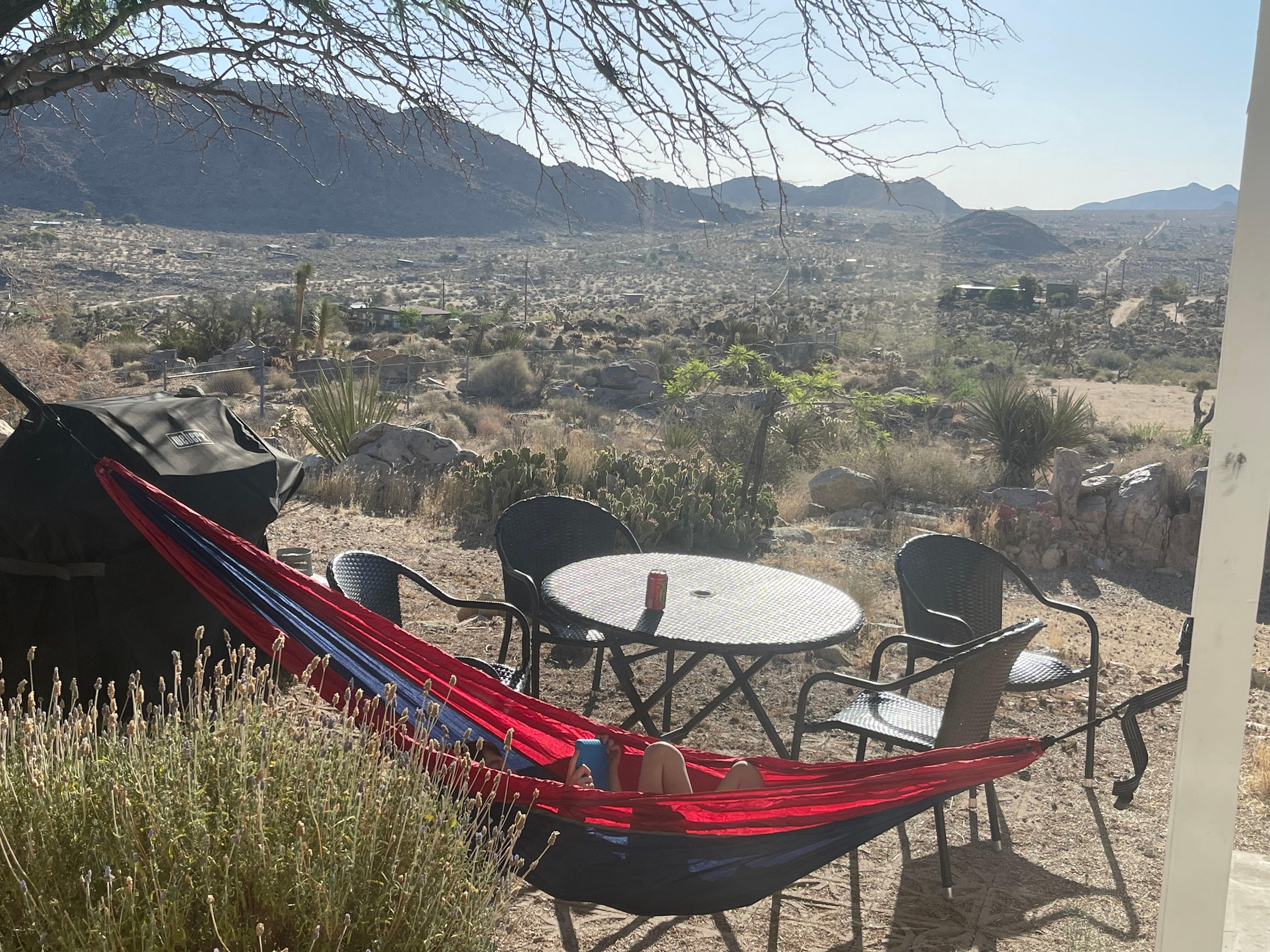 Photo of my little one in our hammock, and the gorgeous view from the backyard
