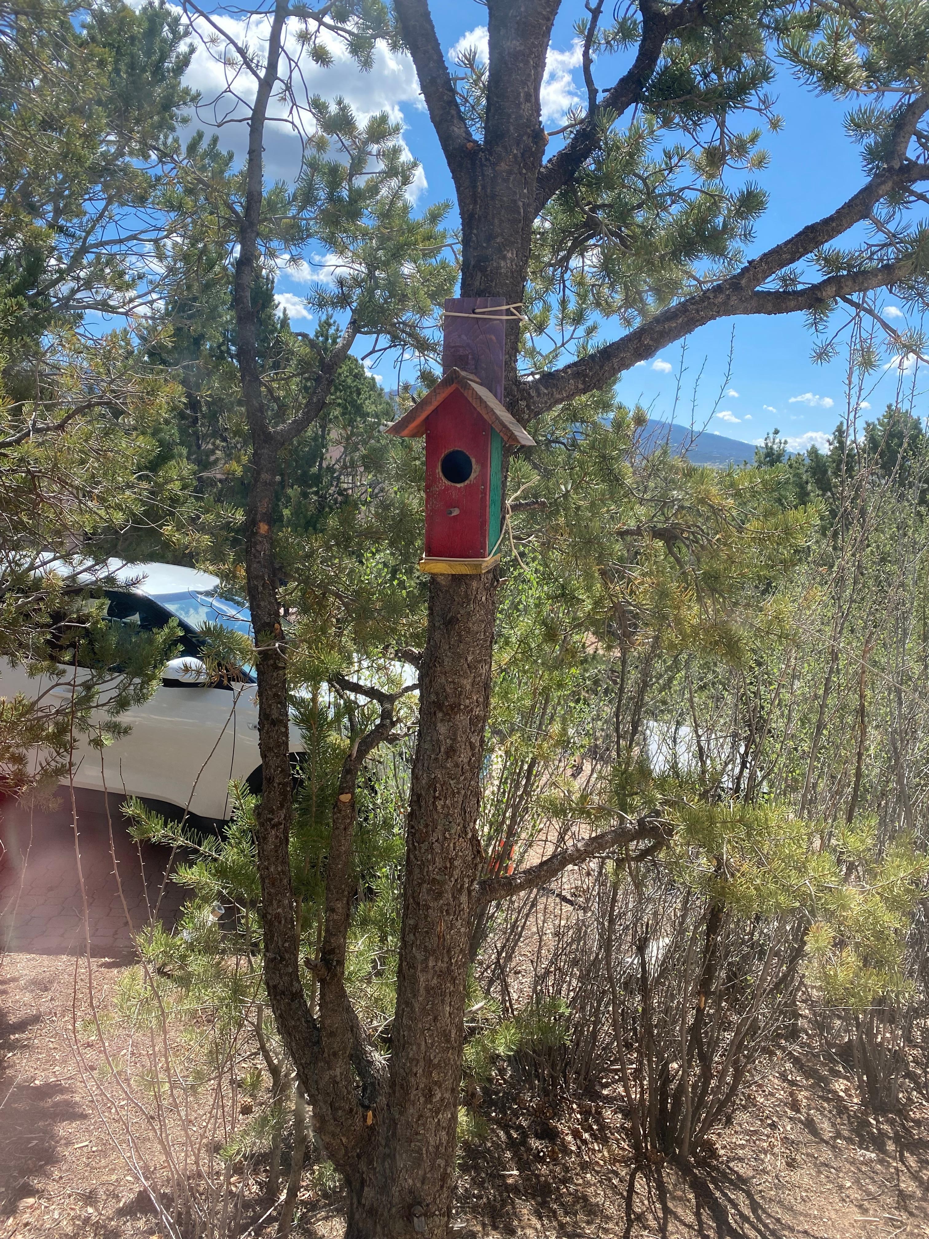 Even a bird house!