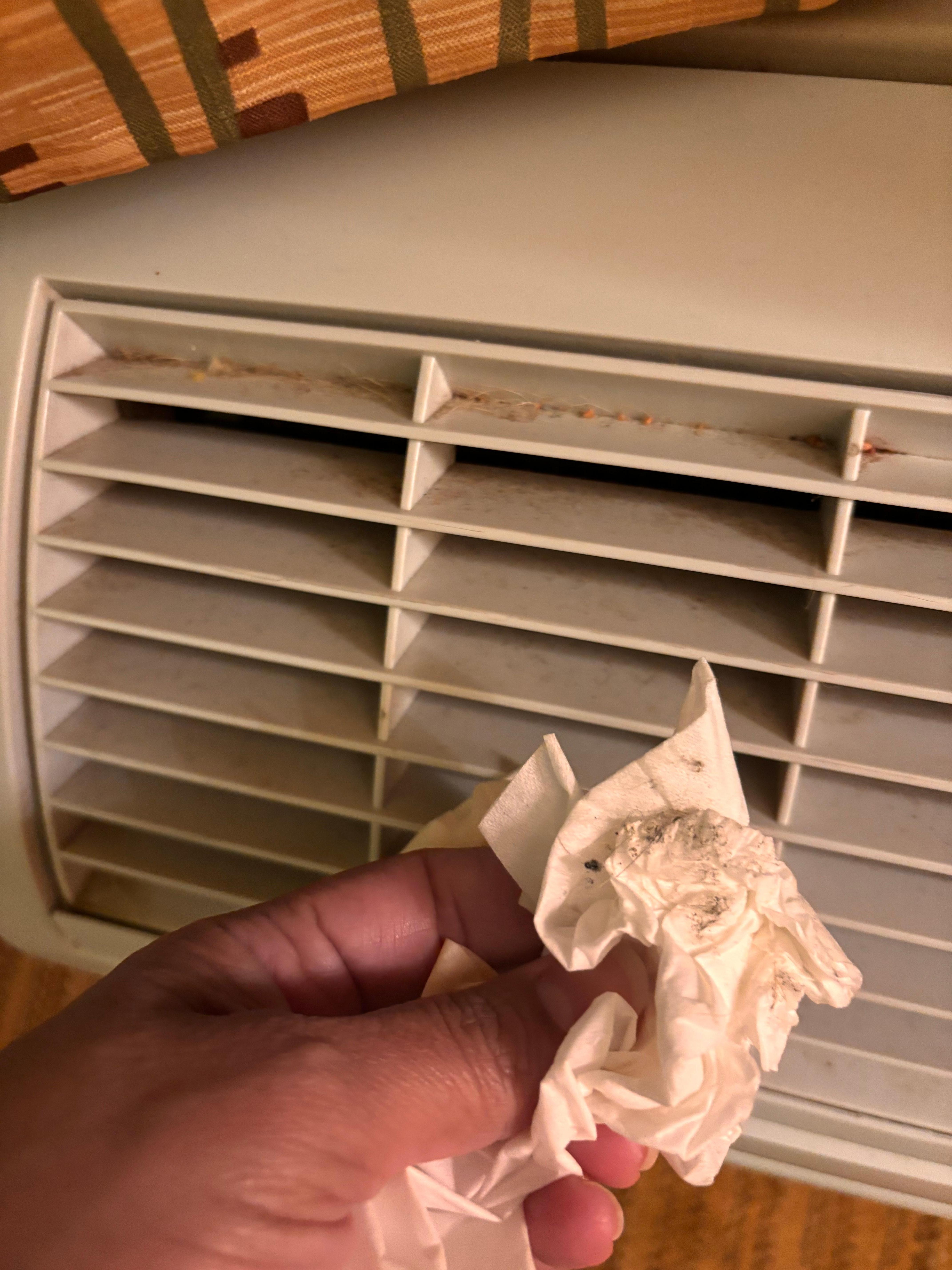 Did I mention the AC was filthy! 🤮😫