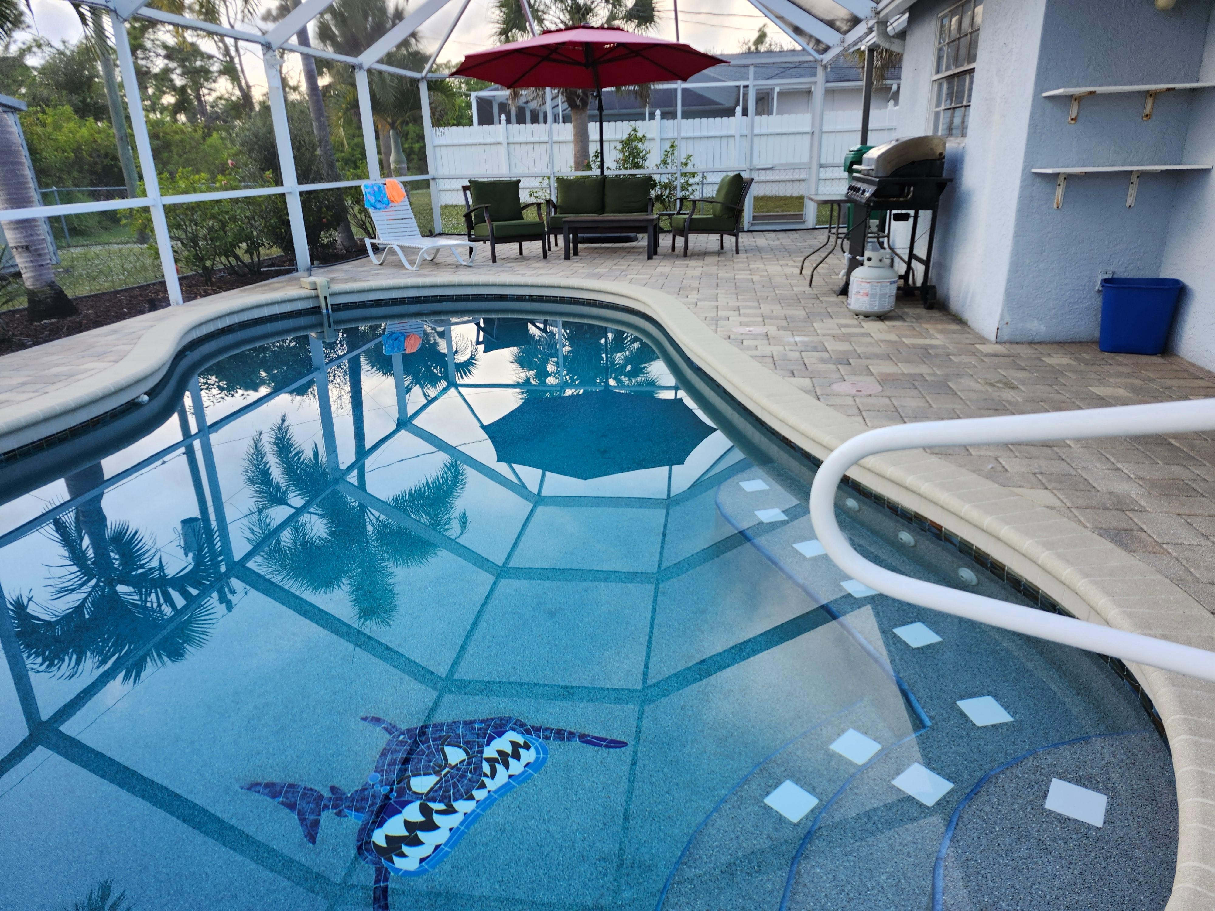 What a surprise to find a shark in the pool! Hahaha