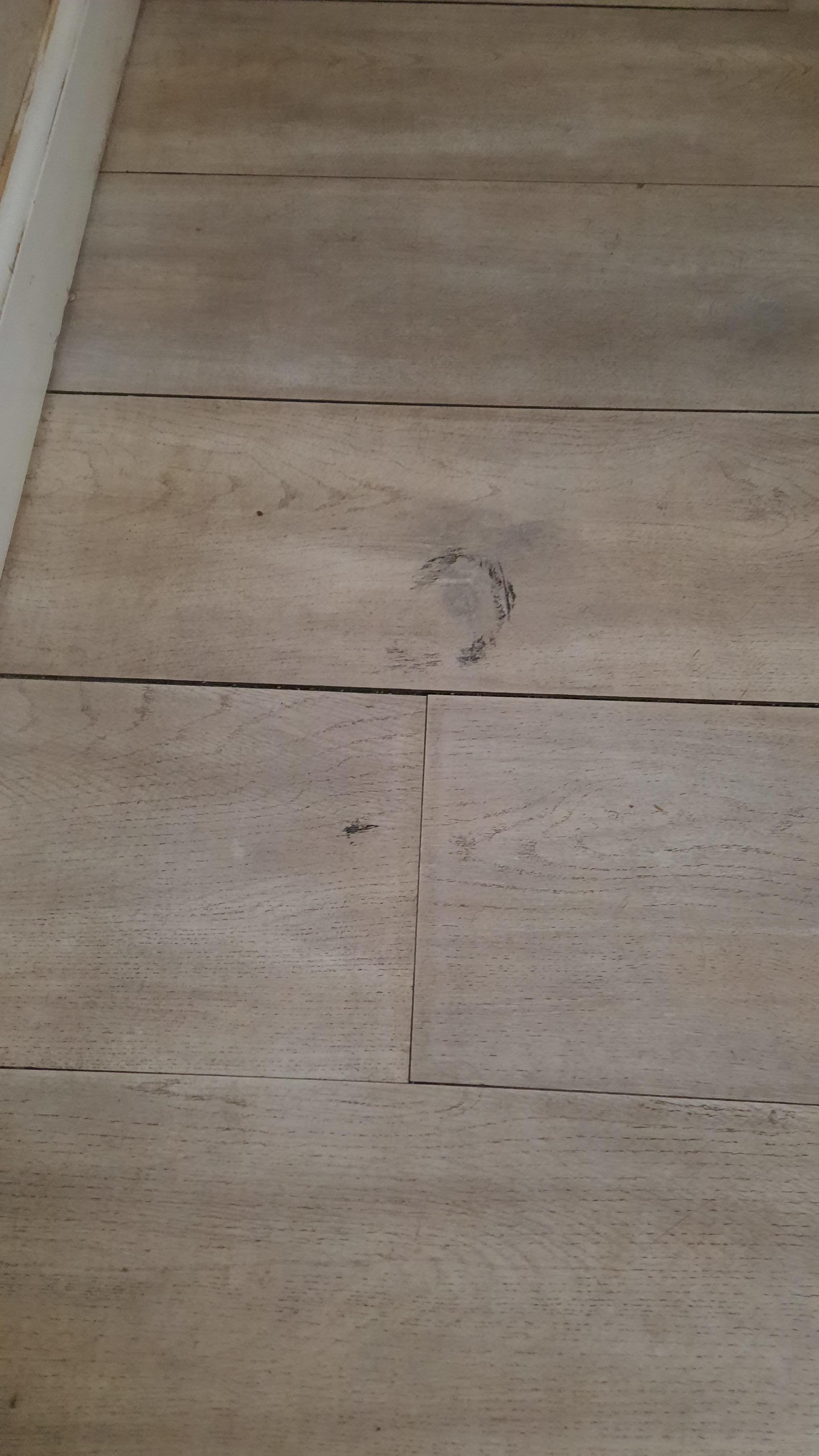 Scuffs and crumbs around the room