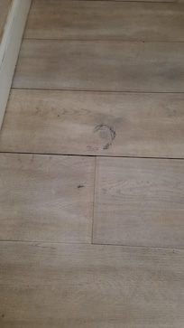 Scuffs and crumbs around the room