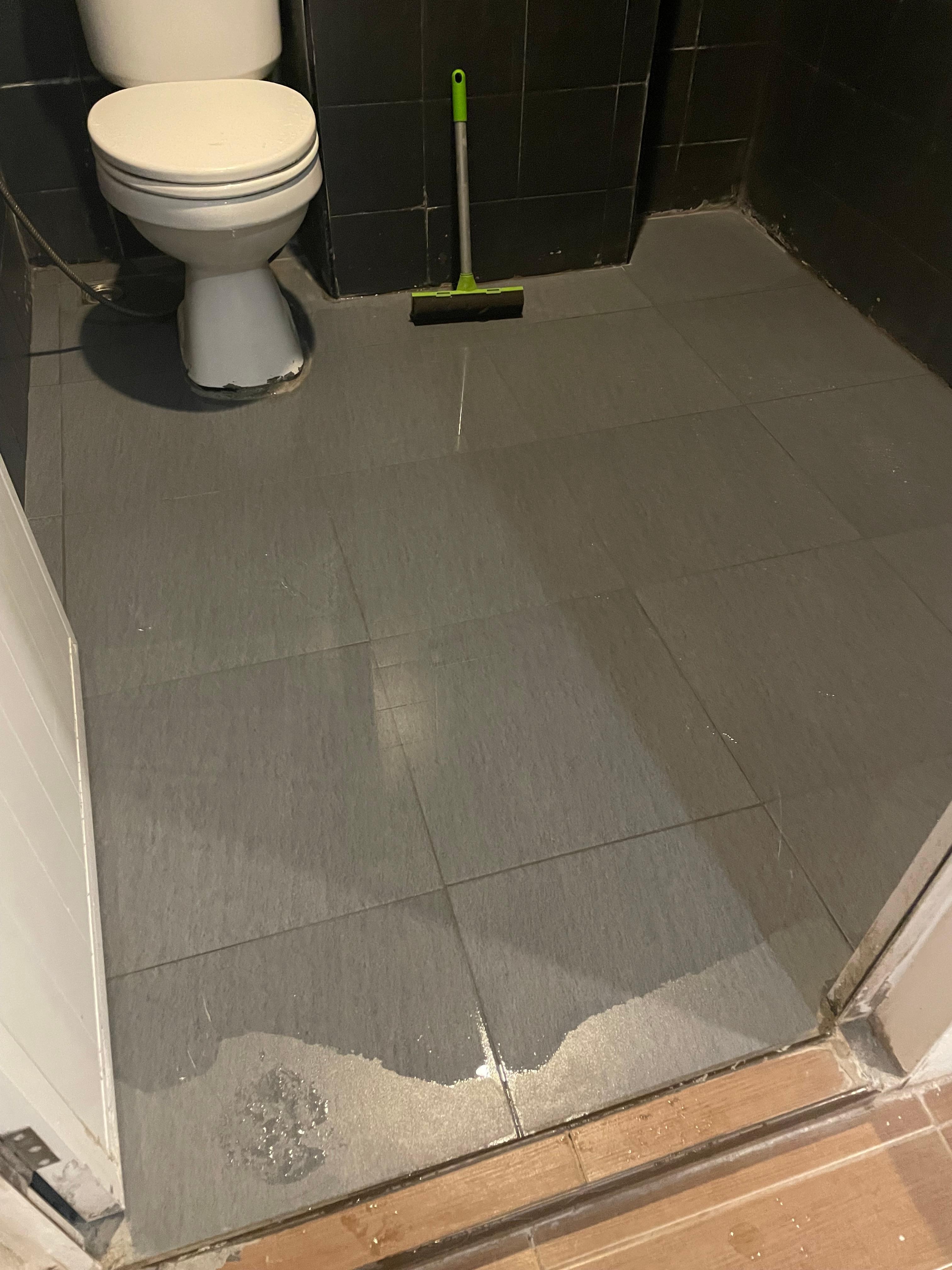 トイレに行くにはモップで水を流さないと靴が水浸しになります。