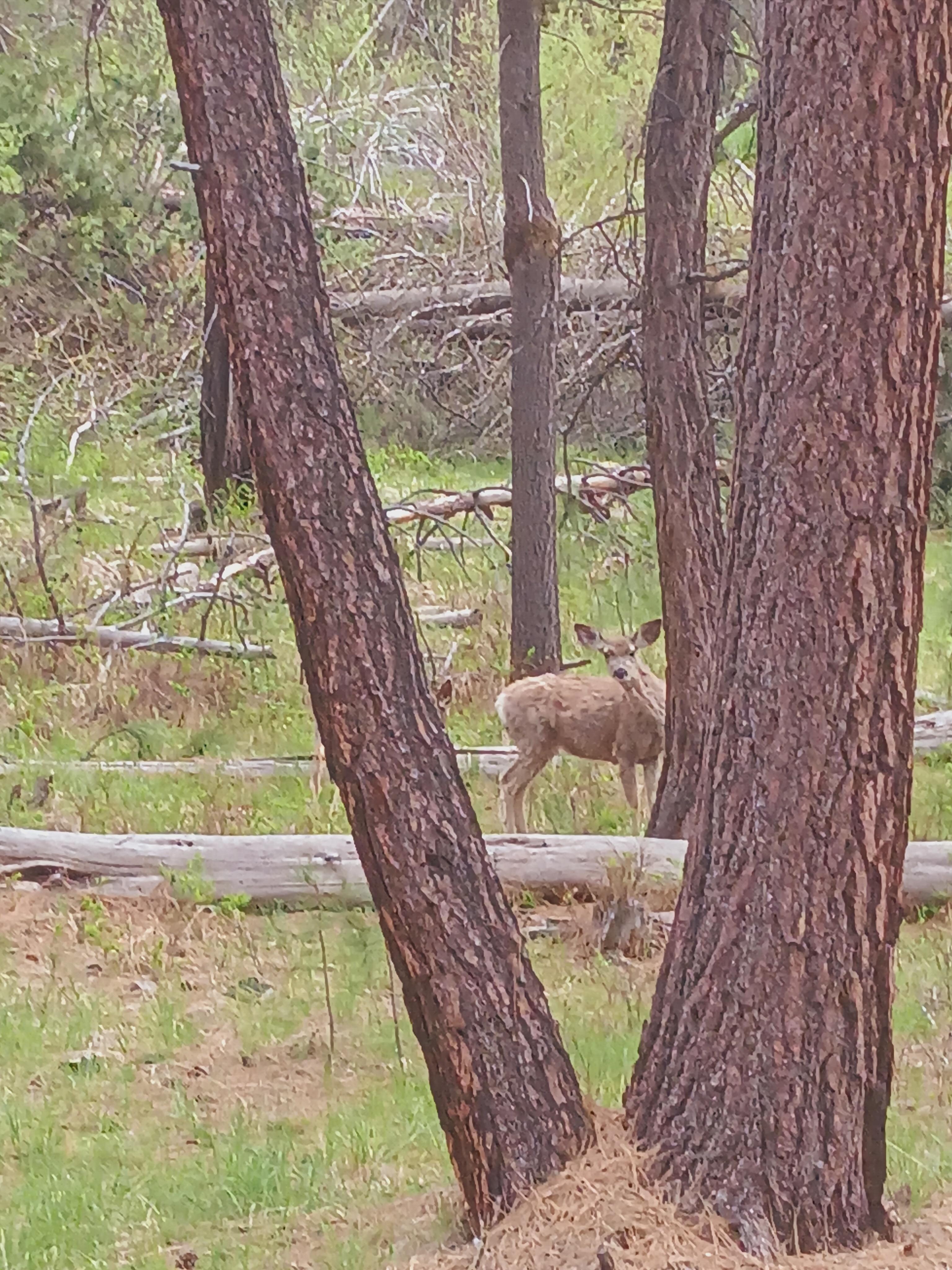 Lapine State Park
