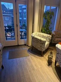 Lobby area. They have two adorable cats.