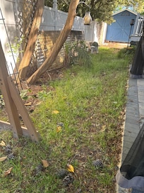 Time to mow