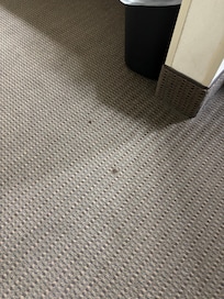 Spots on the floor