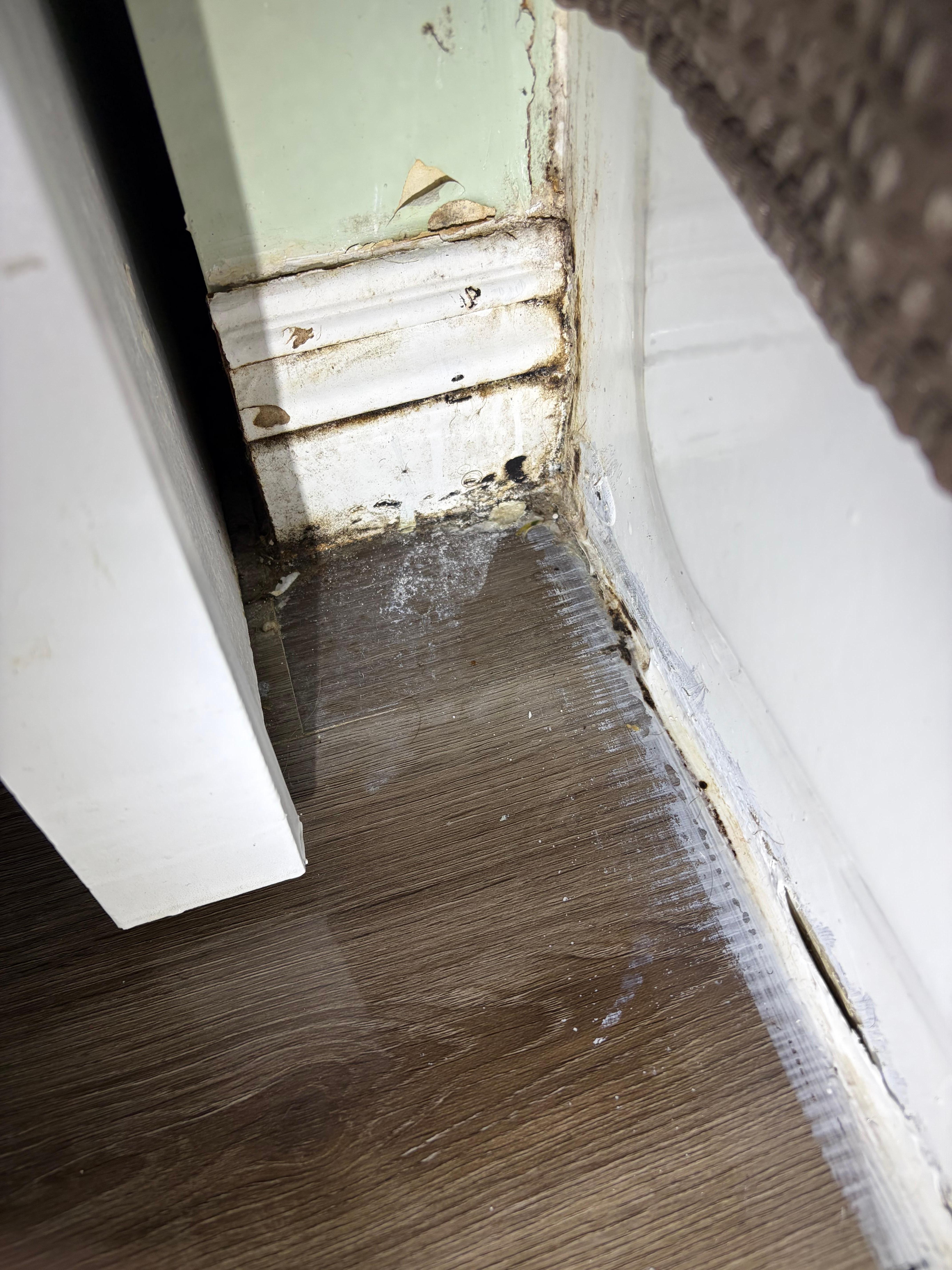 Seal between the floor and tub is broken so water can flow underneath another high risk for mold