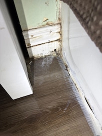 Seal between the floor and tub is broken so water can flow underneath another high risk for mold