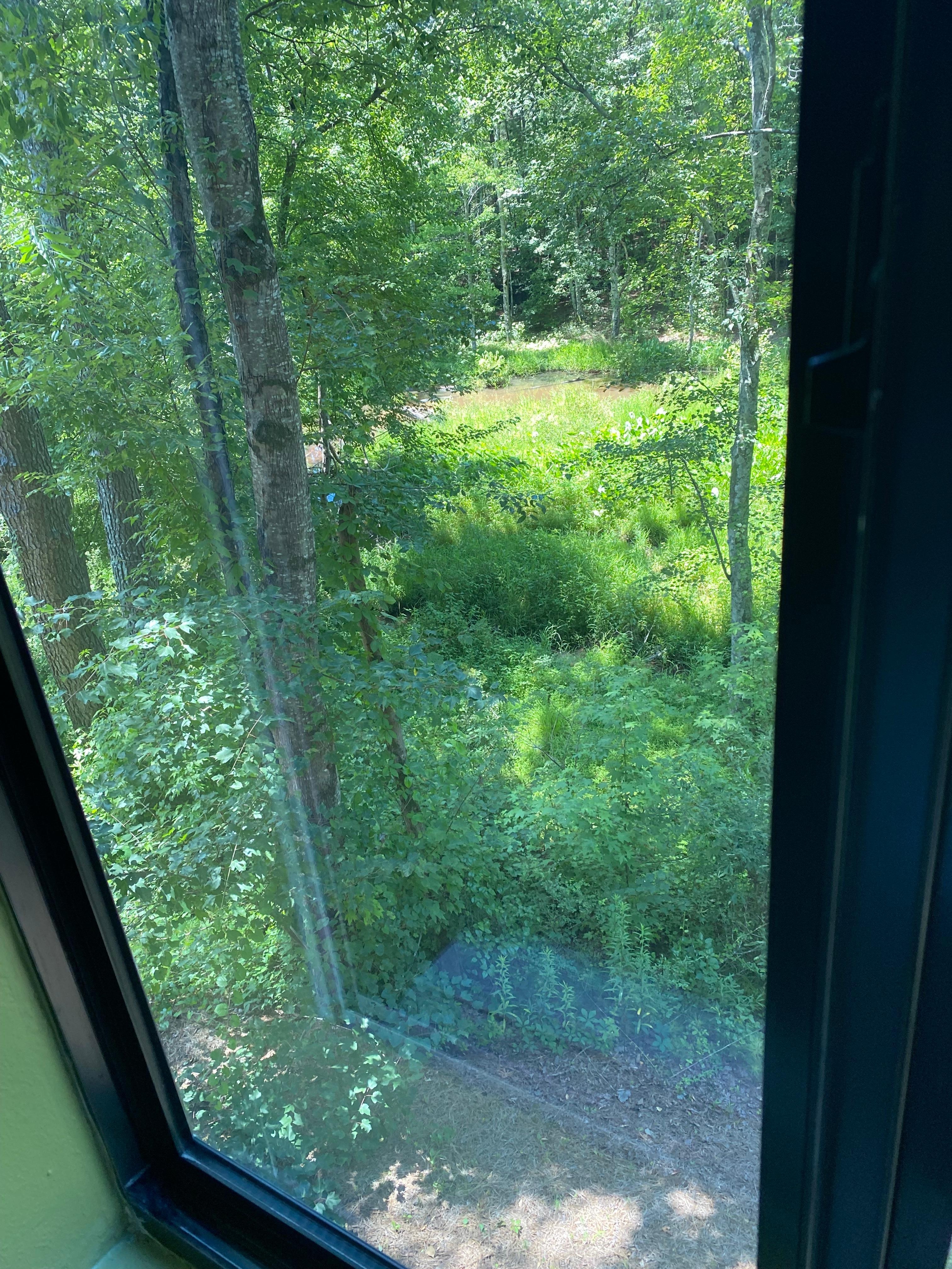 Lovely view from the room.