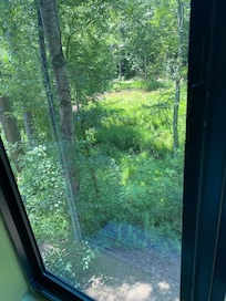 Lovely view from the room.
