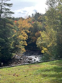 View from the covered back porch