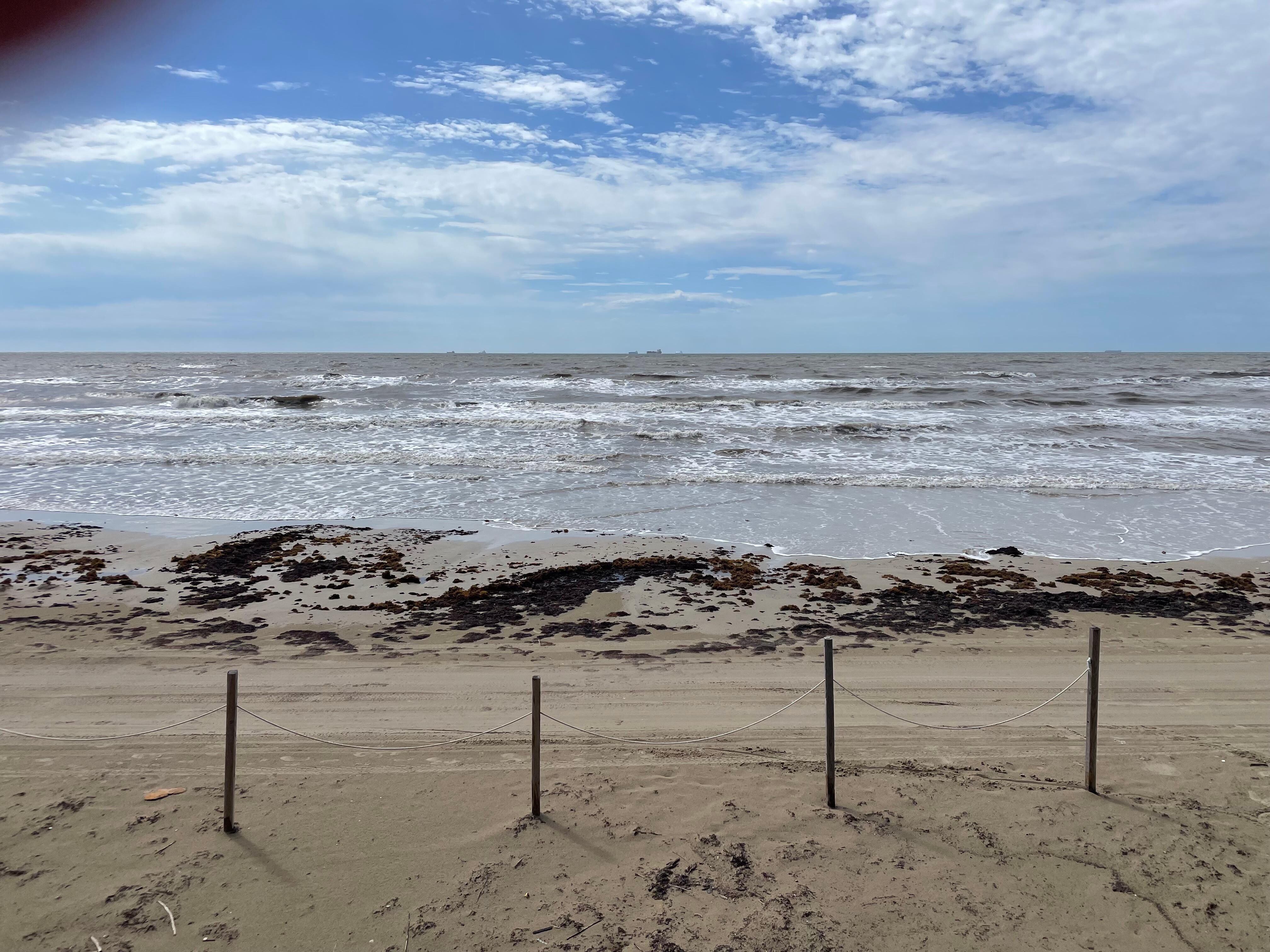 VIew from the deck.