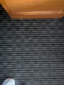 Dog hair