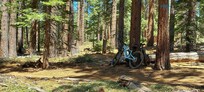 Bike trails close by